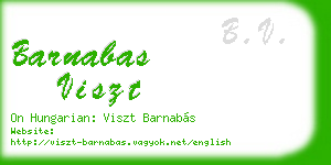 barnabas viszt business card
