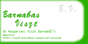 barnabas viszt business card